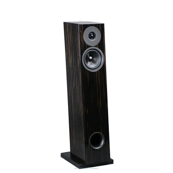 Davis Acoustics Courbet N°4 ebony *Salon Warszawa al. Krakowska 223* tel. 606-553-190